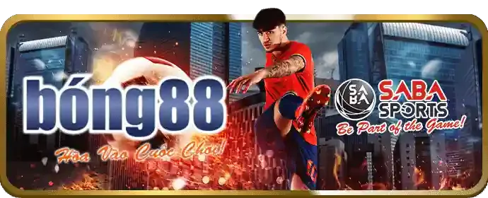 Các chuyên mục chính của blog cm88p nhà cái